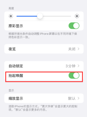 罗山苹果授权维修站分享iPhone轻点无法唤醒怎么办