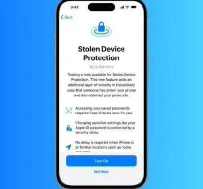罗山苹果授权维修店分享被盗设备保护功能开启方法 