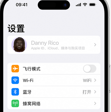 罗山appleID维修服务iPhone设置中Apple ID显示为灰色无法使用 