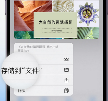 罗山apple维修中心分享iPhone文件应用中存储和找到下载文件