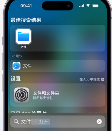 罗山apple维修中心分享iPhone文件应用中存储和找到下载文件