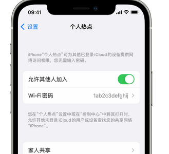 罗山apple服务站点分享iPhone上个人热点丢失了怎么办