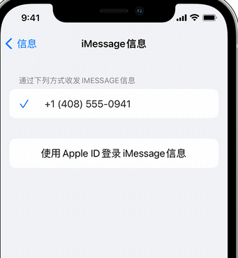 罗山apple维修iPhone上无法正常发送iMessage信息 