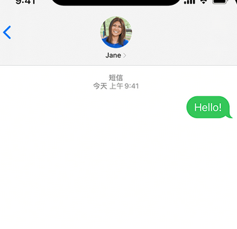 罗山apple维修iPhone上无法正常发送iMessage信息