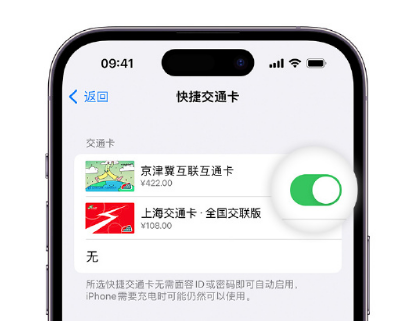 罗山apple维修点分享iPhone上更换Apple Pay快捷交通卡手绘卡面 