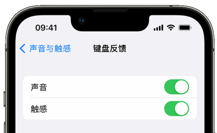 罗山苹果手机维修分享iPhone 14触感键盘使用方法 