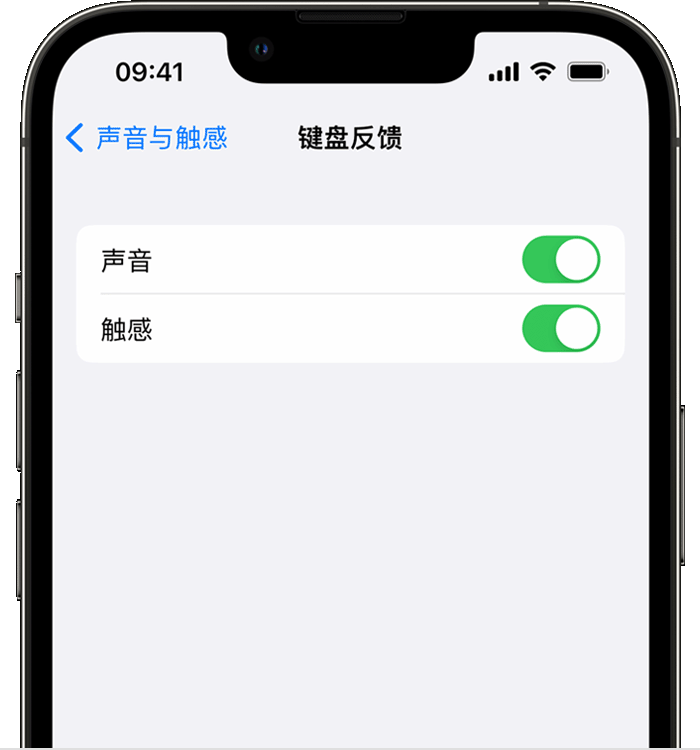 罗山苹果14维修店分享如何在 iPhone 14 机型中使用触感键盘 