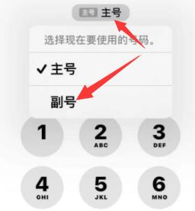 罗山苹果14维修店分享iPhone 14 Pro Max使用副卡打电话的方法 