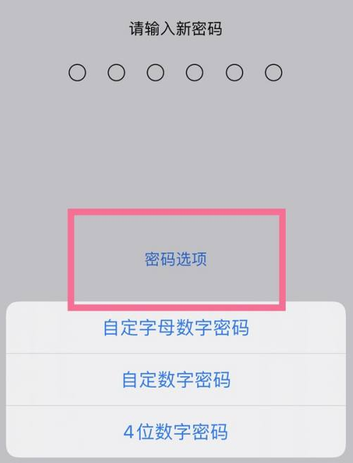 罗山苹果14维修分享iPhone 14plus设置密码的方法 