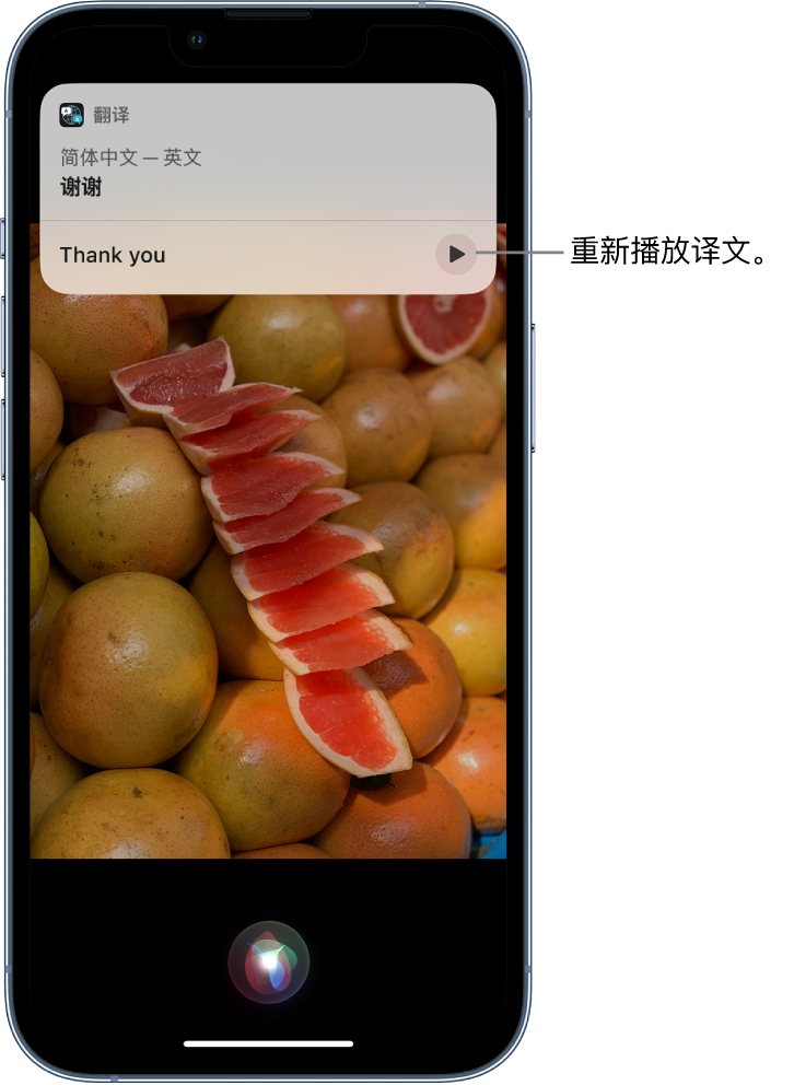 罗山苹果14维修分享 iPhone 14 机型中使用 Siri：了解 Siri 能帮你做什么 