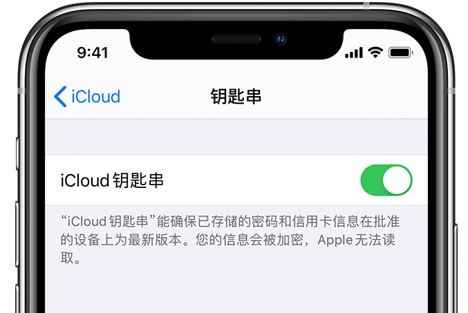 罗山苹果手机维修分享在 iPhone 上开启 iCloud 钥匙串之后会储存哪些信息 