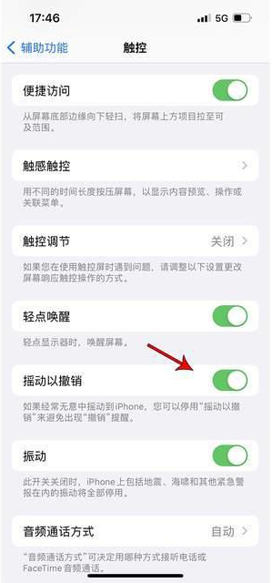 罗山苹果手机维修分享iPhone手机如何设置摇一摇删除文字 