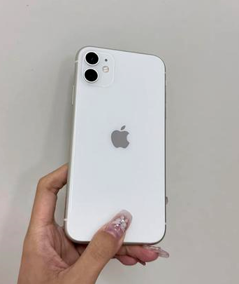 罗山苹果维修点分享iPhone 11黑屏特殊场景解析 